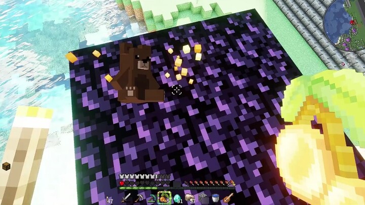 "You call this a surprise?"