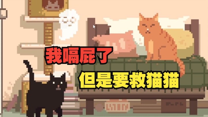 What will my cats do when I accidentally kick the bucket?
