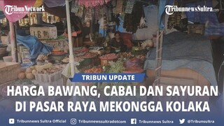 🔴 Update Terkini Harga Bawang, Cabai dan Sayuran di Pasar Raya Mekongga Kolaka Sulawesi Tenggara