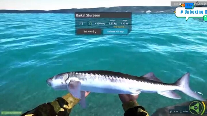 Đánh cá trên du thuyền P8