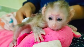 Keep Hygiene!! Cleans up the diaper & put on a new diaper for tiny adorable Luca before bed