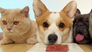I don't want to listen to big truths today, I just want to eat small cakes