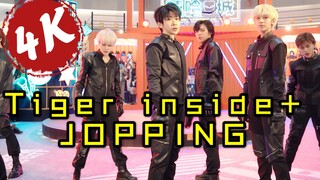 天津K-Festa中韩文化节 路演 夜莺军团 Tiger inside+Jopping （KPOP Random dance 2020.10.25 总第16期）