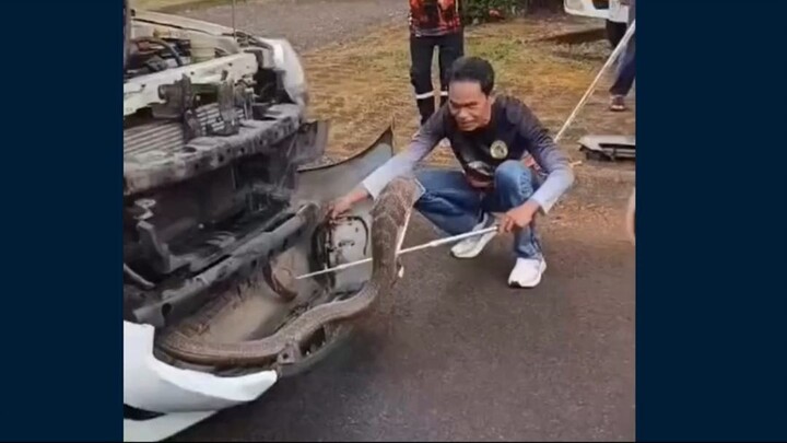 #news #berita #fyp #viral #seputarberita #indonesia