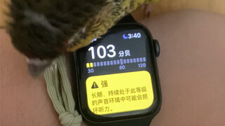 Hearing loss warning: Pay attention to volume levels.