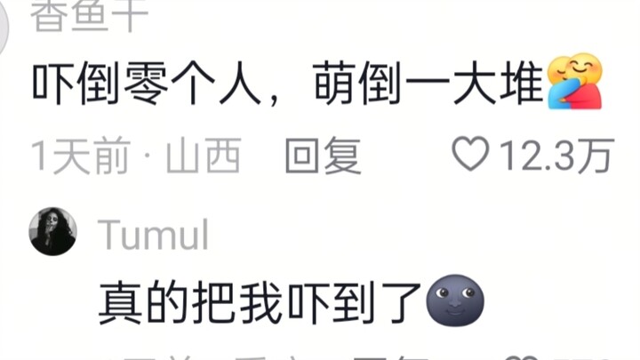 น้องแมว นี่จะให้ใครตกใจตายกันเนี่ย?