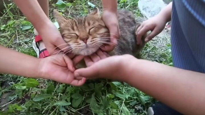 Tình yêu này... quá nặng nề