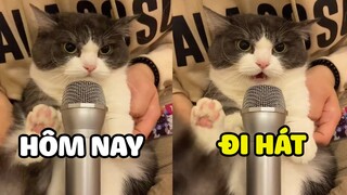 HOÀNG THƯỢNG trổ tài CA HÁT? Này là HÁT hay CHỬI? | Pets TV