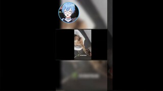 Kucing Gua Ketika Haus....