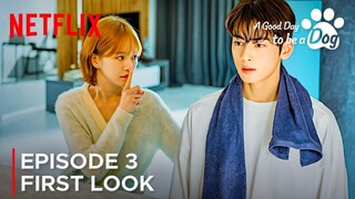 A Good Day to be a Dog | Episode 3 First Look | Cha Eun Woo | Park Gyu Young {ENG SUB}