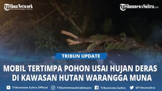 Mobil Toyota MVP Tertimpa Pohon saat Melintas Kawasan Hutan Waraga Muna Sulawesi Tenggara