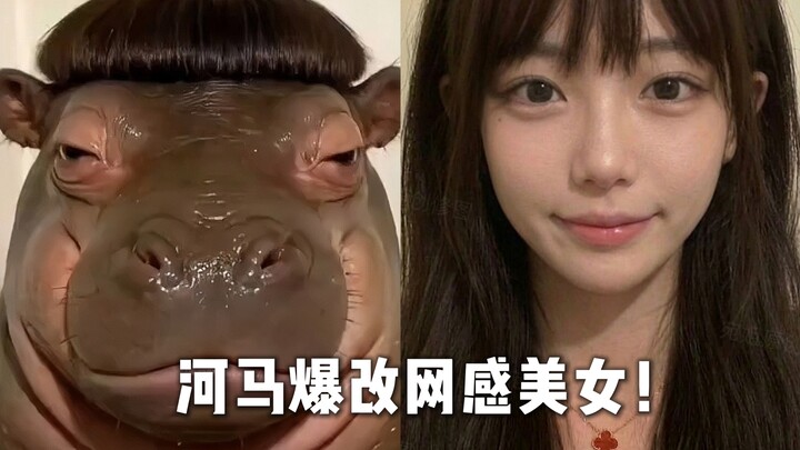 Hipopotamus ubah total jadi cewek kekinian, selesai edit langsung jatuh cinta!!!