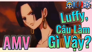 [Đảo Hải Tặc] AMV | Luffy, Cậu Làm Gì Vậy?