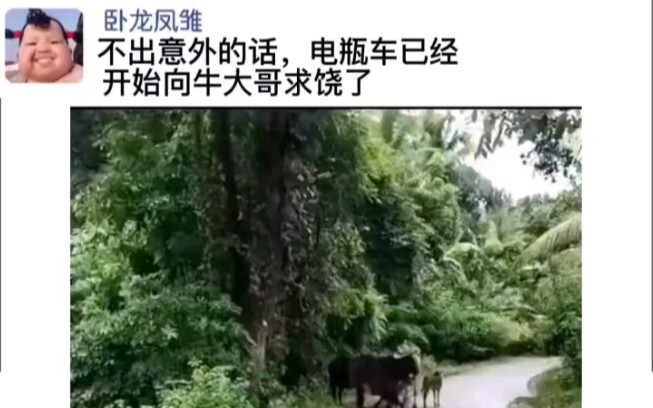 电瓶车:老子TM犯天条了?这么倒霉!