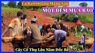 Đông Paulo || Cả Bản Làng Hoang Mang Sau Một Đêm Mưa Bão - Khắc Phục Hậu Quả