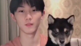 ขอร้องอย่างถ่อมตนเพื่อขอสันติภาพกับหม่าเจียฉี โดยไม่สนใจไฉ่หลิวจิน