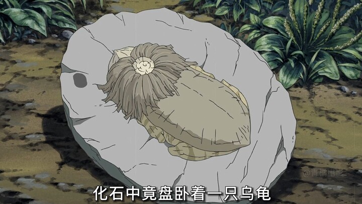 اكتشف الصبي بالصدفة حفرية، وبعد غسلها بالماء، ظهرت حية كهذا!