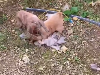 Kids’ stuff—adults, stay out of it!