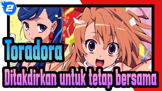 [Toradora!] Harimau dan Naga ditakdirkan untuk tetap bersama meskipun waktu dan jarak