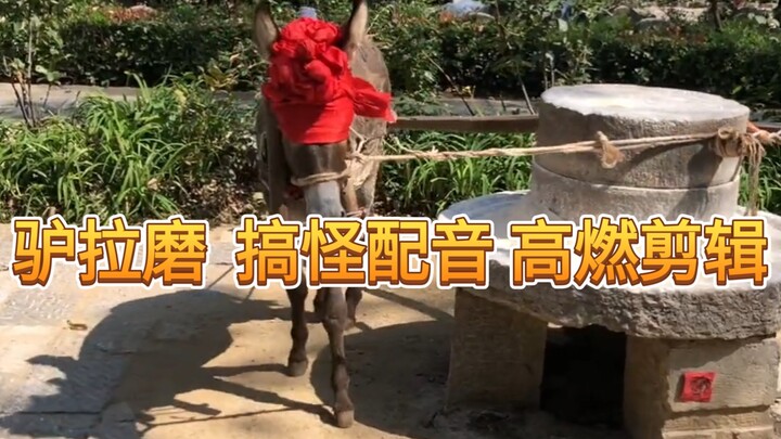 (ย้อนชม) ลาหมุนโม่ คลิปเต็มพลังสุดขีด ตัดต่อไฟลุก!