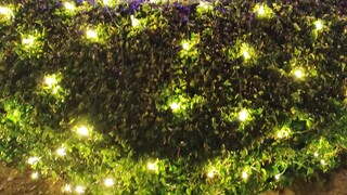 lightshow