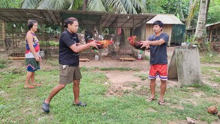 Airwolf Broodstag vs Hammerfoot Hatch