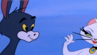 Tom Imitation Show
