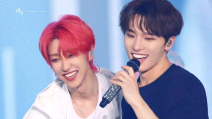 【تشان با】 كلبة جديدة شديدة الجاذبية، كلما كشفت عنها أكثر، زاد جمالها [سيفينتين]