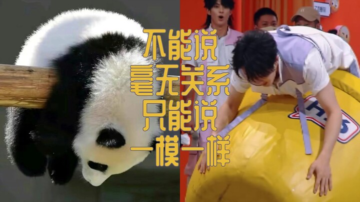 不能说毫无关系，只能说一模一样