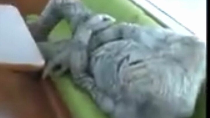 Which planet's monster is so uncivilized to occupy a seat? Oh, it's from Earth, that's fine.