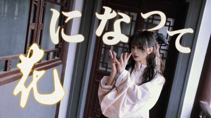 [Wan Wan] Divine Camera Work Turned Me Into a Blossom 🌸 – Medicine Shop Girl OP | On the Lantern Fes