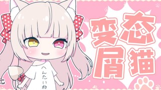 BT猫猫登场，看上去就不大聪明的样子