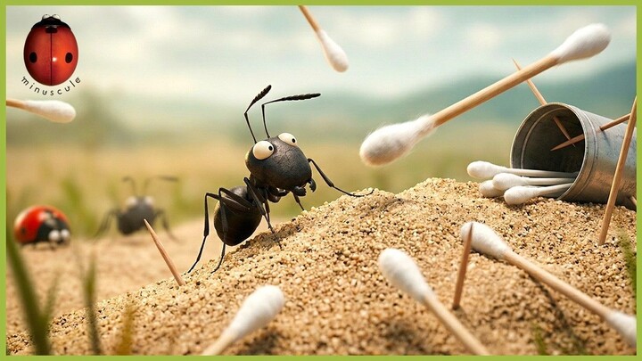 The Great Cotton Swab Battle  Minuscule Movie Clip