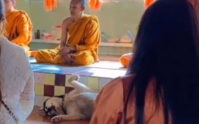 Ta, Phật, không độ Nhị Ha......