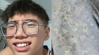 什么叫tm的惊喜！暑假回来枕头褥子竟然.......