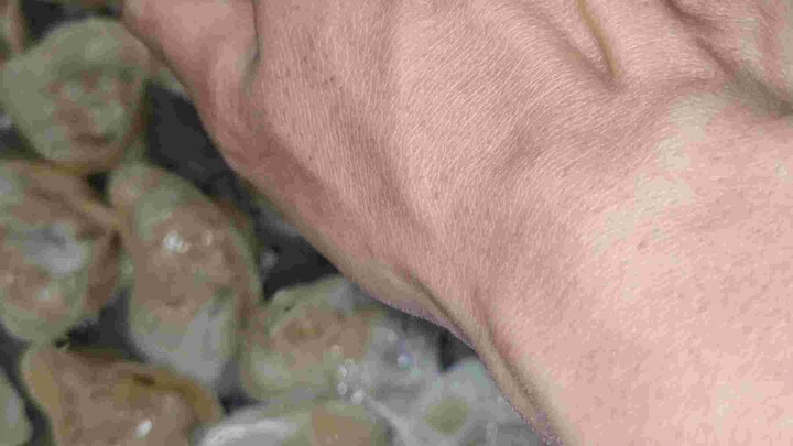 Dimsum delicioso lezato