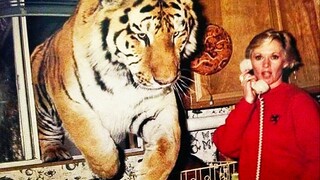 Tổng hợp video thú vị từ nước ngoài, xem xong cảm thấy cả thế giới đều thật vui vẻ! #106