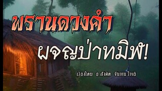 พรานดวงคำ..ผจญป่าทมิฬ! (ตอนเดียวจบ)