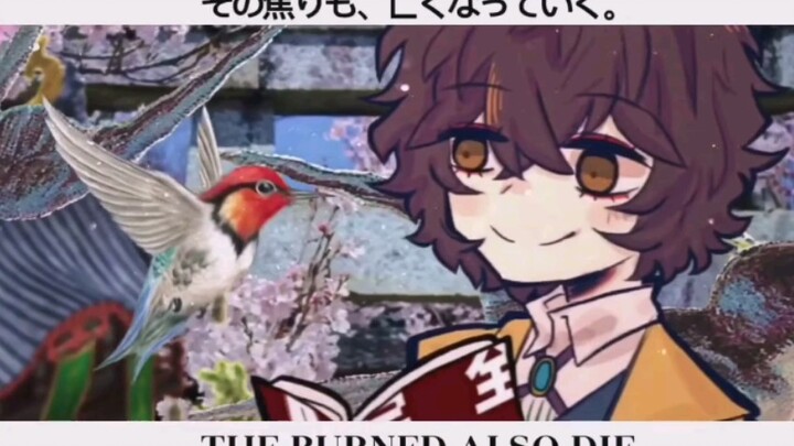 【搬运/手书/文豪野犬】最愛なるあなたは花葬