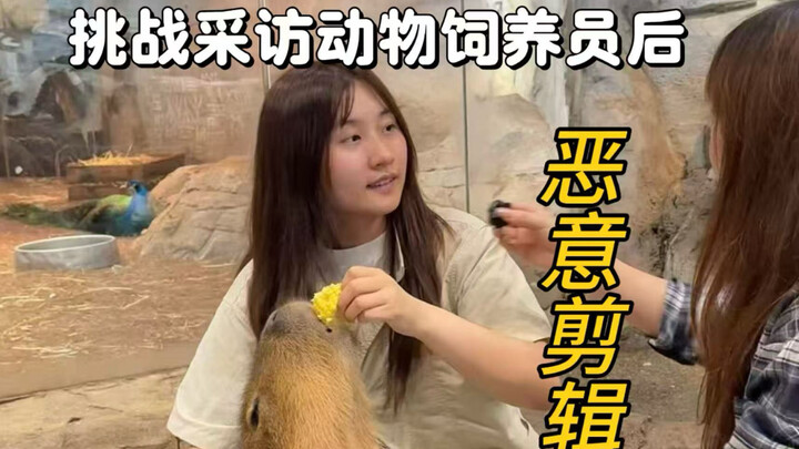 Challenging myself to viciously edit a zookeeper’s video in the style of clickbait accounts