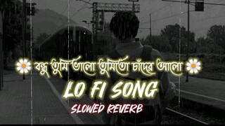 বন্ধু তুমি ভালো তুমি তো চাঁদের আলো ❤️‍🩹(New LoFi song) Lofi2.0