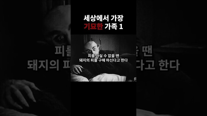 세상에서 가장 기묘한 가족 1