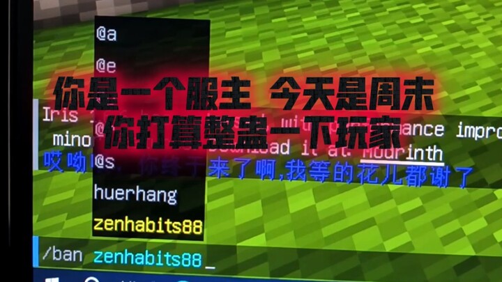 你是个我的世界的服主 今天是周末 你打算整蛊一下玩家