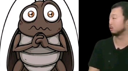 Cockroaches at home! No need to be afraid anymore!
