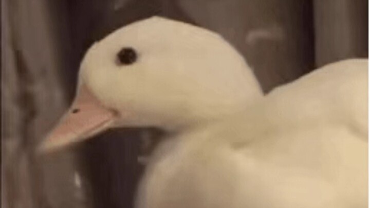 Kebaikan hatimu justru akan berbalik menyerang temanmu dengan tag-an.