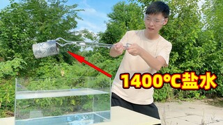 Extreme Test: What Happens When You Heat Common Table Salt to 1400°C and Then Pour It into Water?