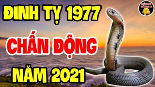 Tuổi ĐINH TỴ 1977 Năm 2021 KHÓC LẶNG, Vỡ Nợ Phá Sản, Chú Ý 3 Điều Này Kẻo Tiền Mất Tật Mang