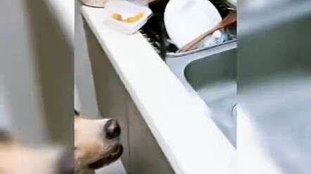 Which despicable, underhanded players