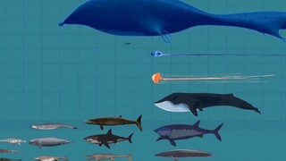 Popular Science: Size Comparison of Some Marine Life That Has Appeared on Earth