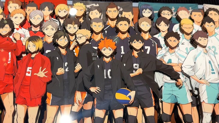 There are only two kinds of people in the world, those who like Haikyuu! and those who have never wa